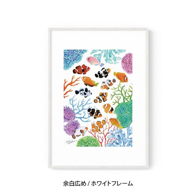 A1｜クマノミの舞踏会（フレームあり）
