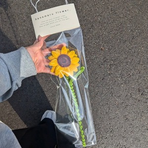 himawari ひまわり【1本単体】 | fuwafuwa flower