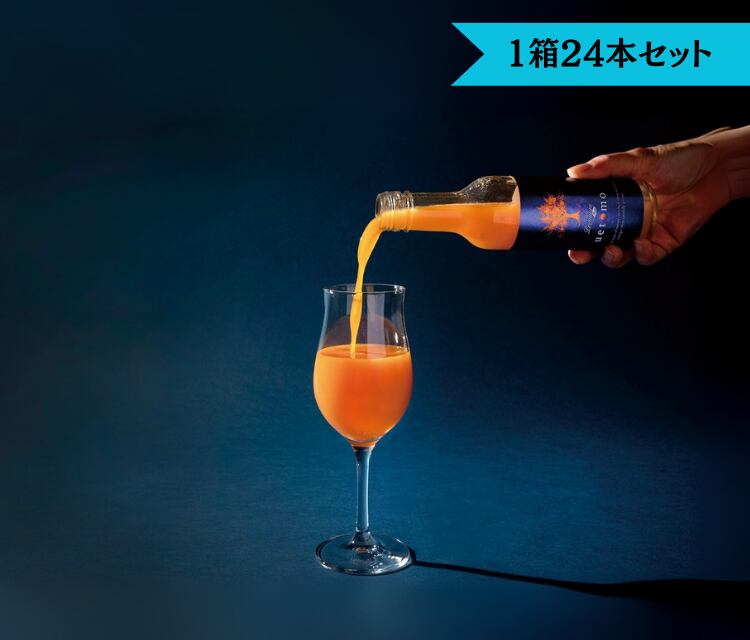 【セット購入なら約5%OFF!】プレミアムみかんジュース(200ml×24本)