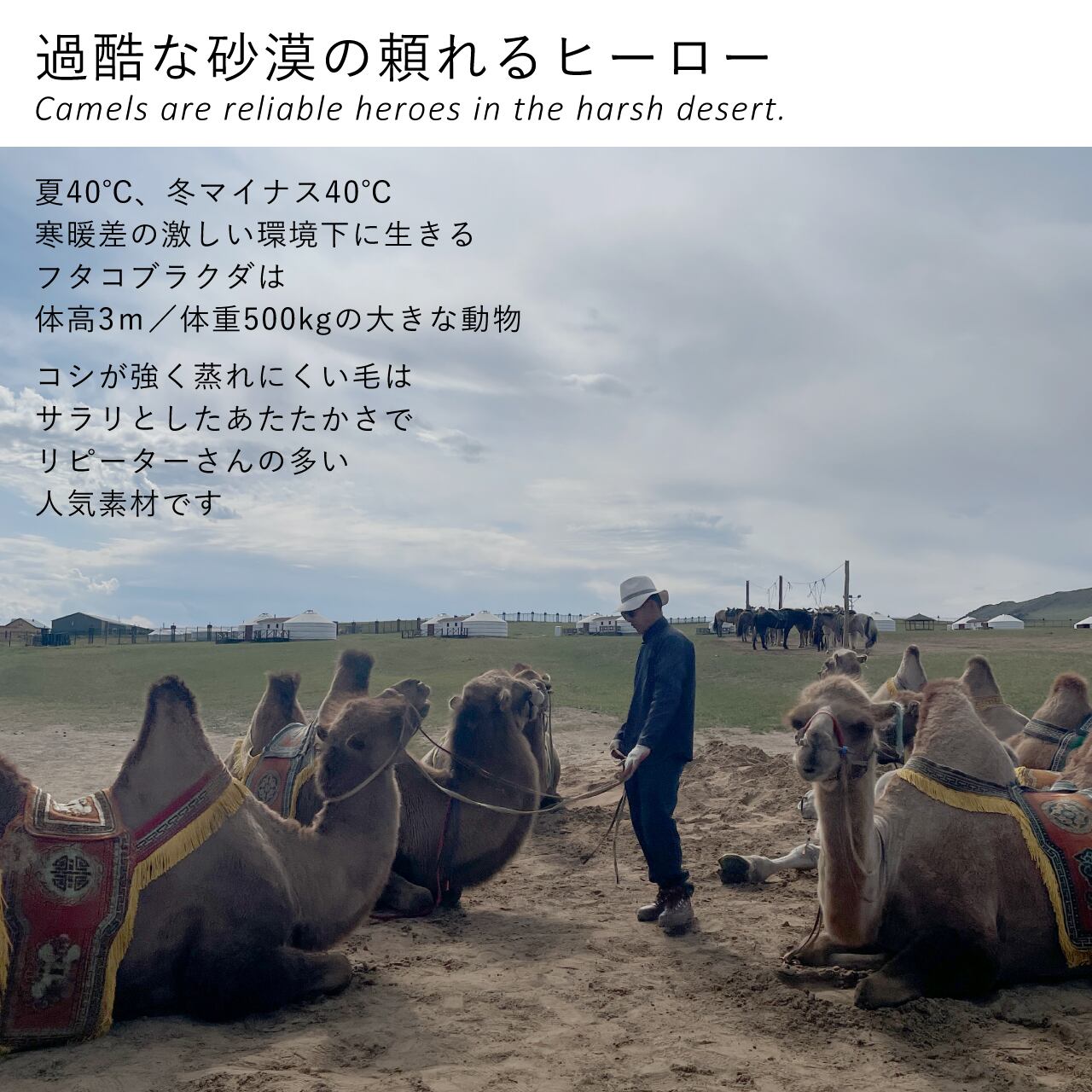 らくだのパーカー | 空飛ぶ羊 BASE webshop｜モンゴルのあたたかい靴下