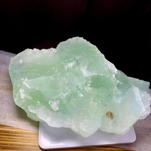 5.グリーンフローライト原石に住み着いているフローライトハリネズミさん