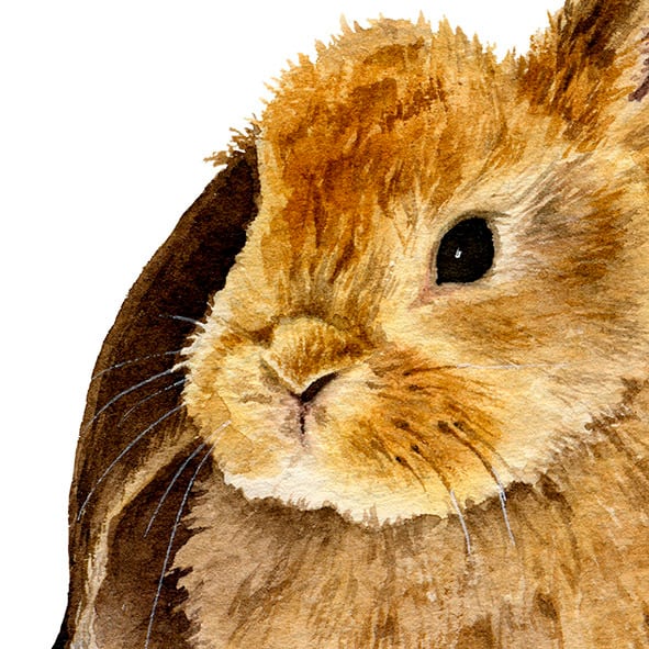 うさぎ / アートポスター 水彩画 イラスト アートプリント 2L〜 動物