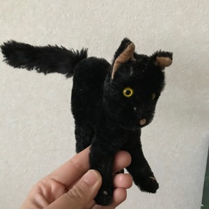 黒猫