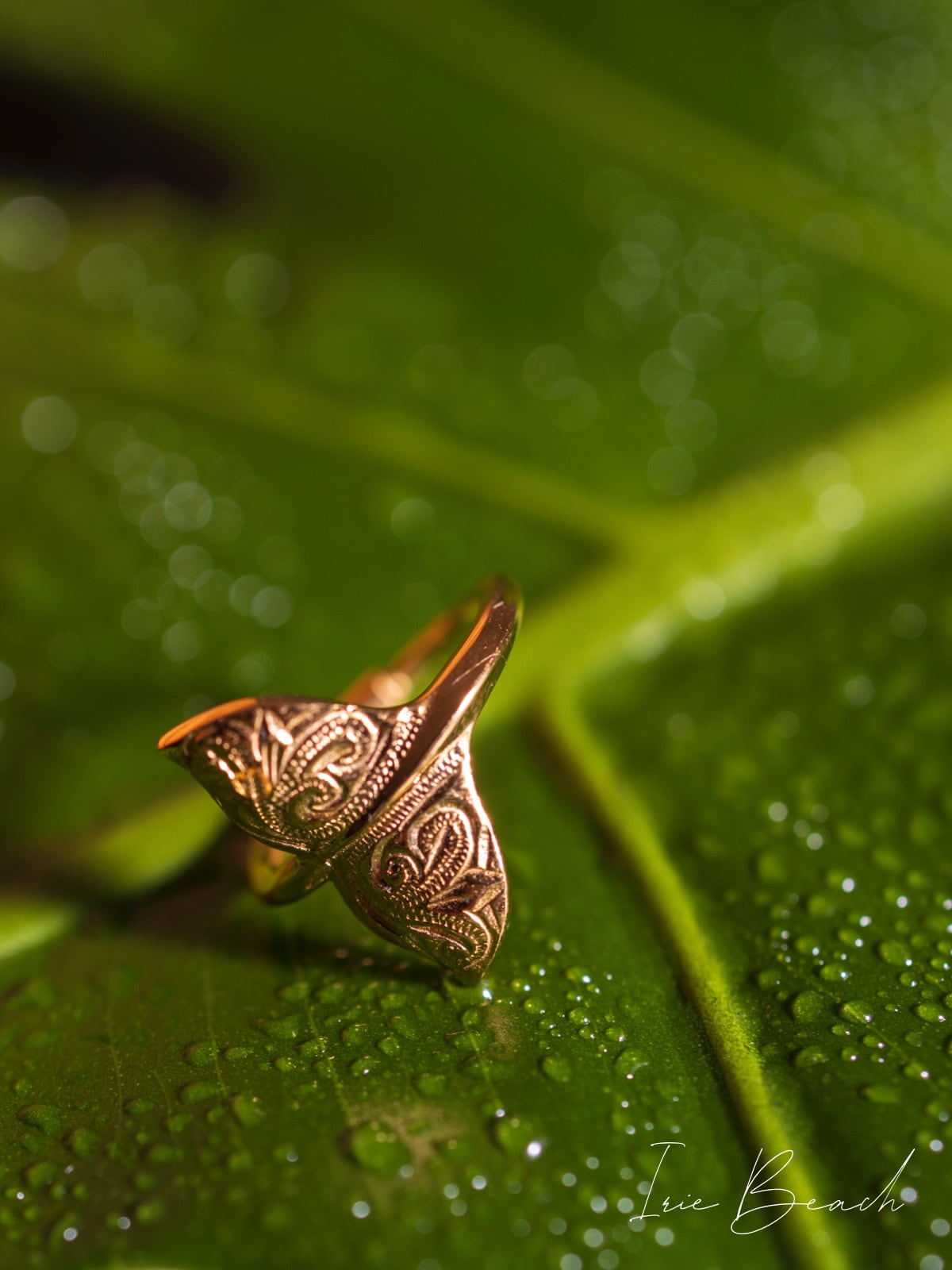 ホエールテールのアロマストーン 1つのお値段です