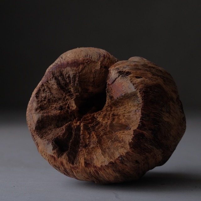 Tree burl