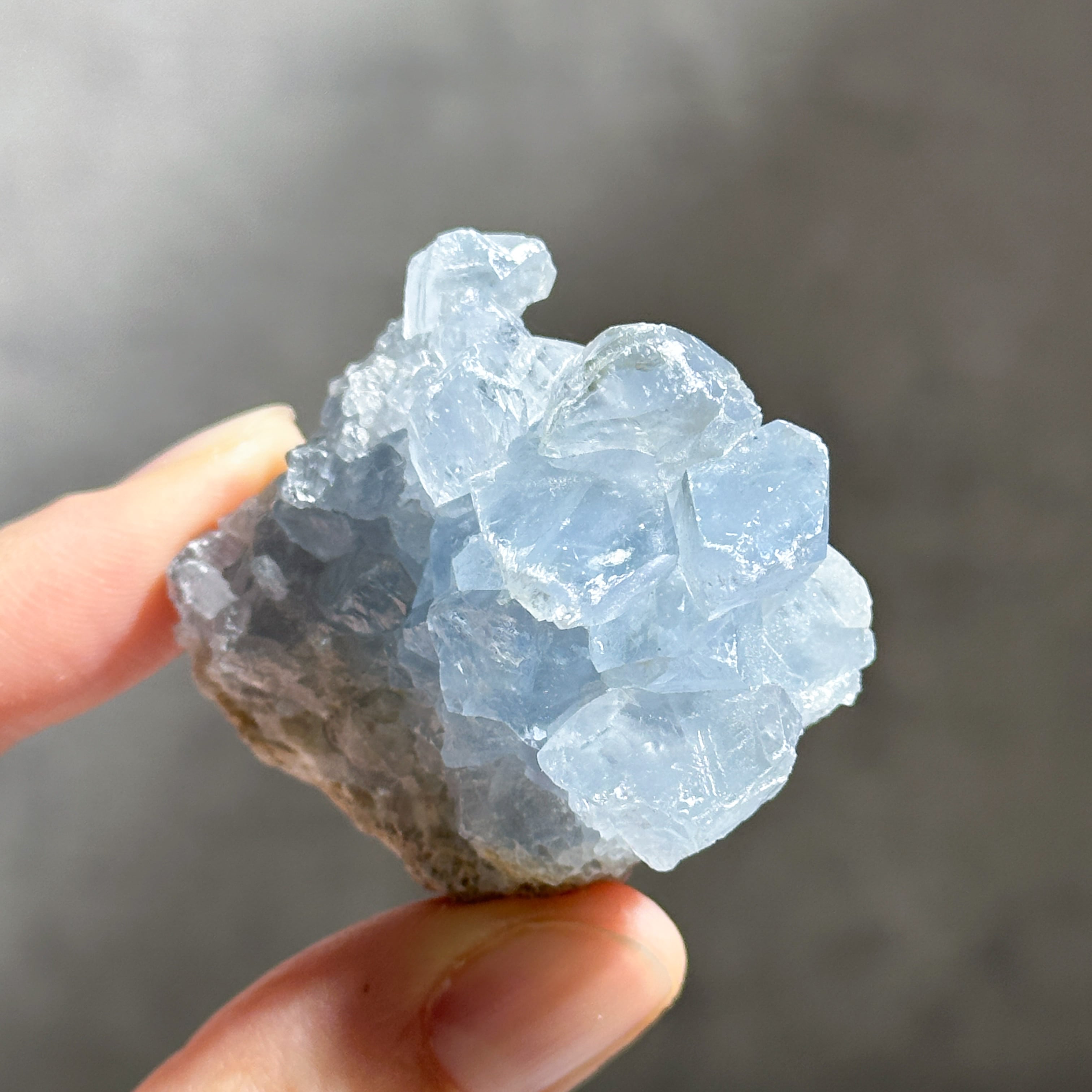 セレスタイト 原石 23◇ Celestite ◇天然石・鉱物・パワーストーン