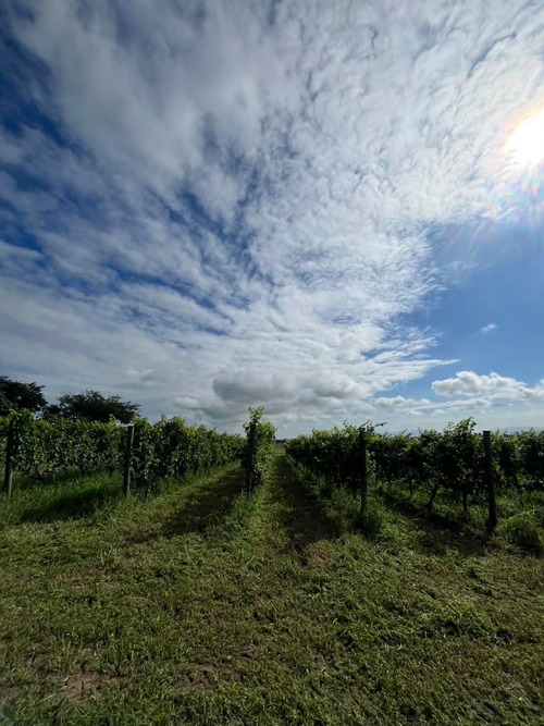 年末年始籠城セット　長期戦