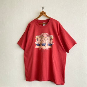 【Three Kittens Sitting on Beach Chairs】T-Shirt