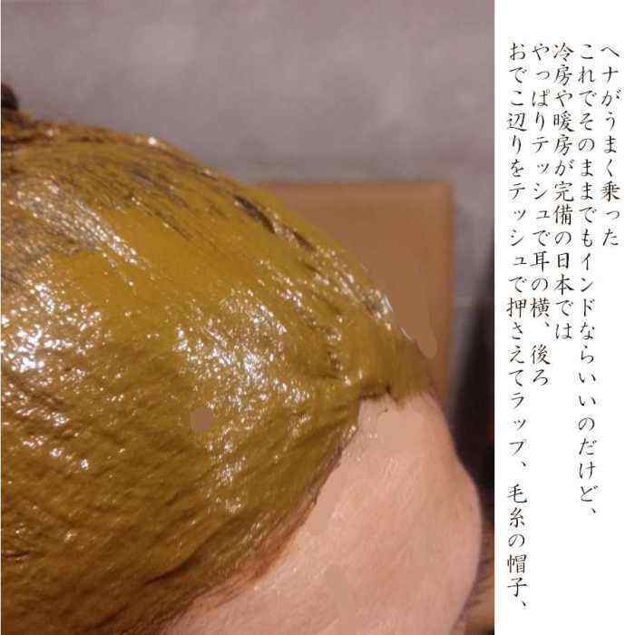 3種類のオイルから選べる 始めてのへナ お買い得セット | naosho