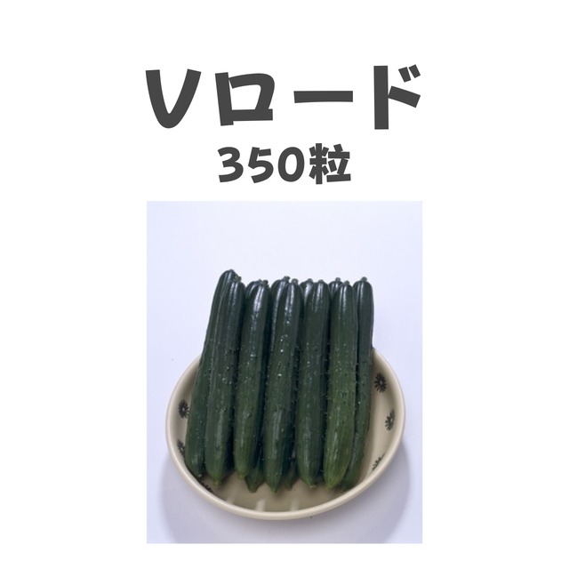 Vロード　キュウリ種子・350粒