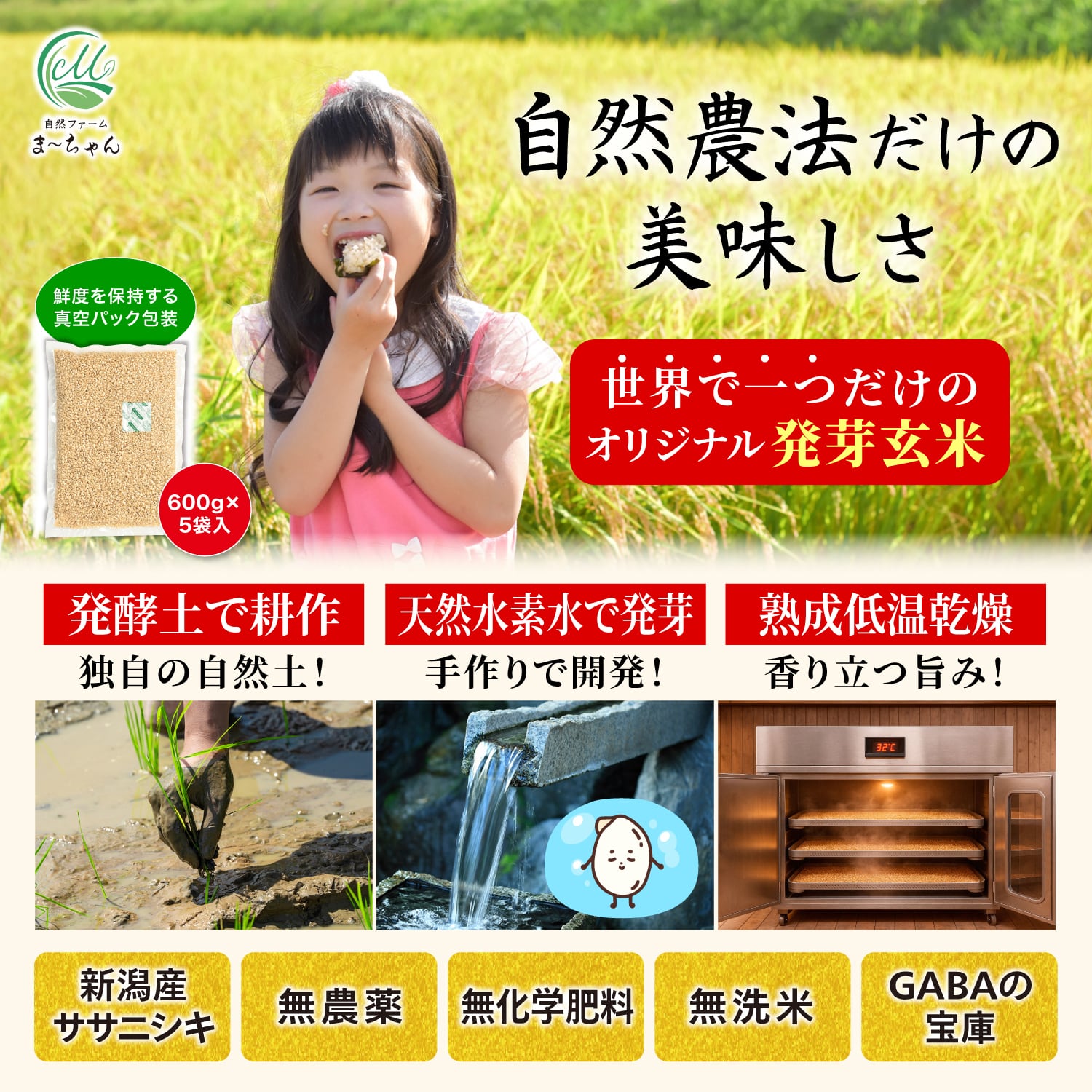 ま〜ちゃん発芽玄米【自然農法 ササニシキ】無洗米 無農薬 無肥料米