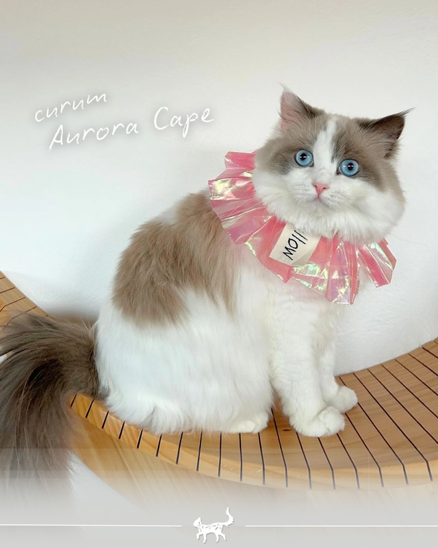受注制作 【curum】curum Aurora  Cape〔お名前item〕