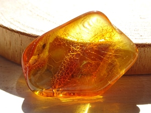 バルト海の琥珀(バルティックアンバー)No.4 ~蜜色の宝もの~