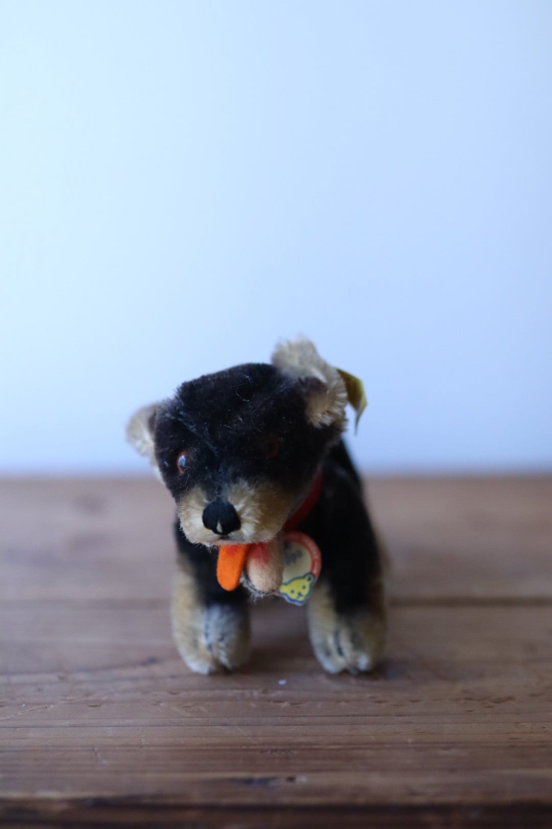 シュタイフ 犬 ダックスフンド Steiff Beppo 10㎝ ヴィンテージ ぬいぐるみ