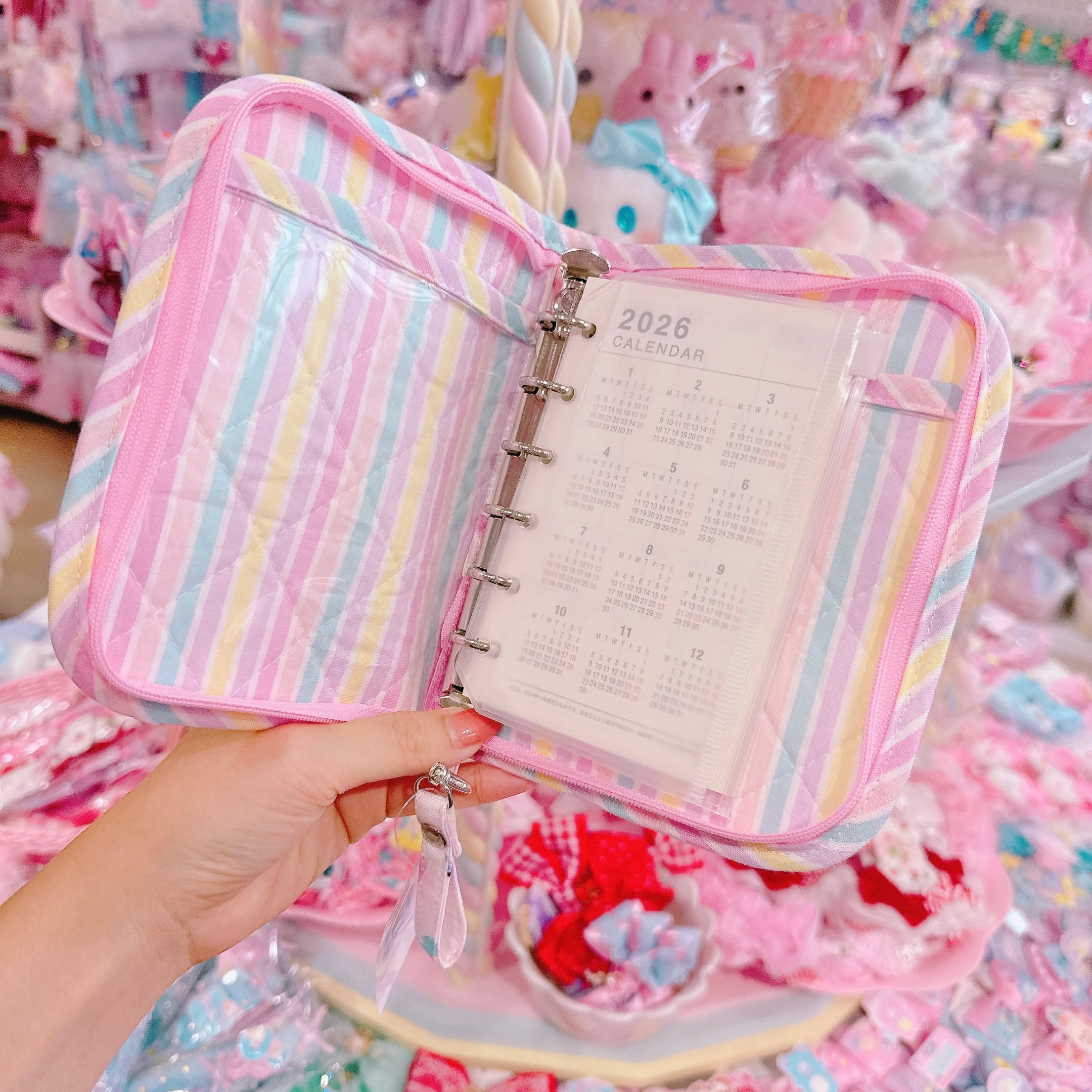 【N4】39-5コレクションバインダー（ミニ６穴サイズ）