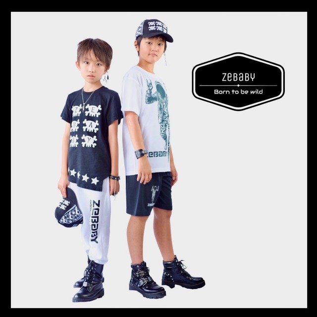 ZEBRA ROCK (税込み)