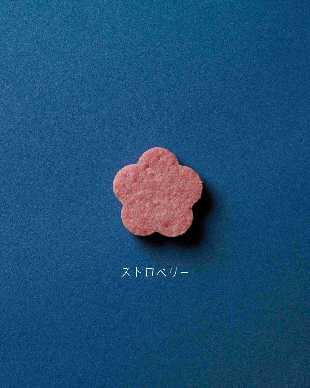 コルフレ2枚セット　さかきょう様 渚セット サブレ(4種) | 積奏バターサンド