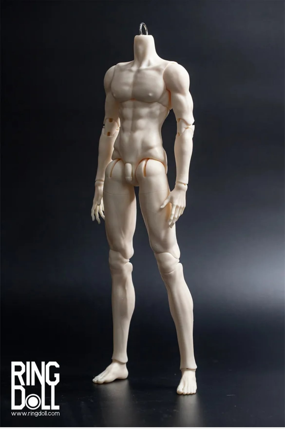 フルセット）Anubis 1/4スケール◇Ringdoll◇（受注制作