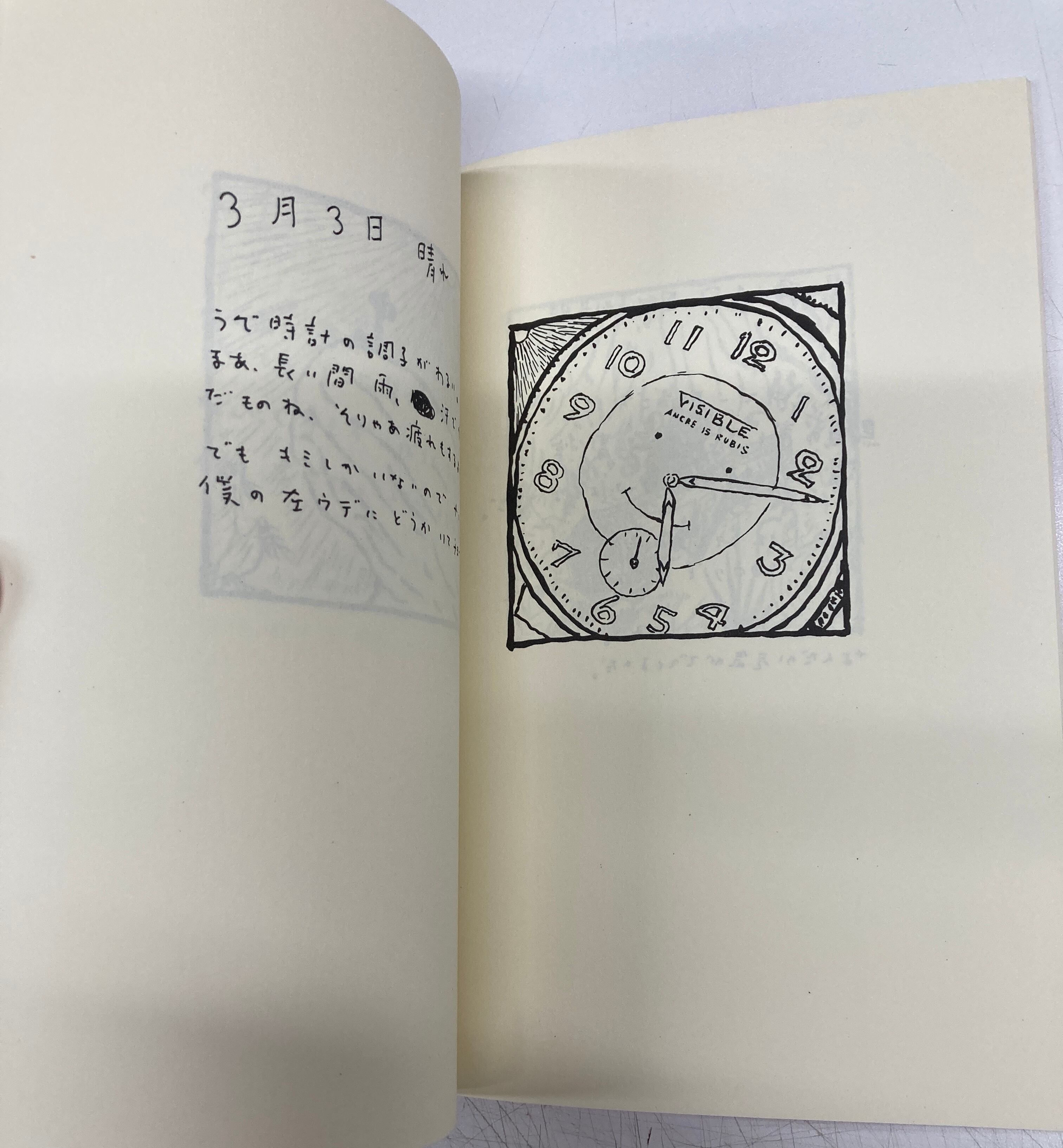 荒井良二　ホーライワンコッチャナイの日記、ピッタリーナ二冊セット　絶版入手困難 荒井良二 ホーラ・イワンコッチャナイの日記 限定300 116/300 1996年
