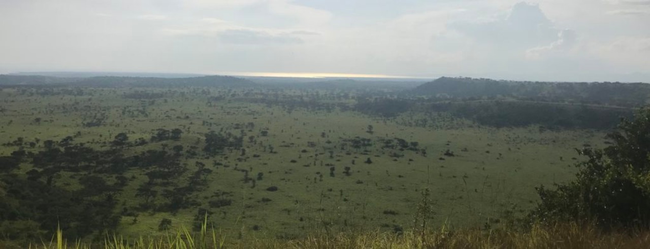 【NEW】 ウガンダ 120g アフリカンムーン ジャッカル