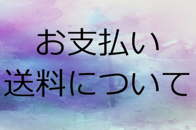 お急ぎ仕上げプラン Hurry plan