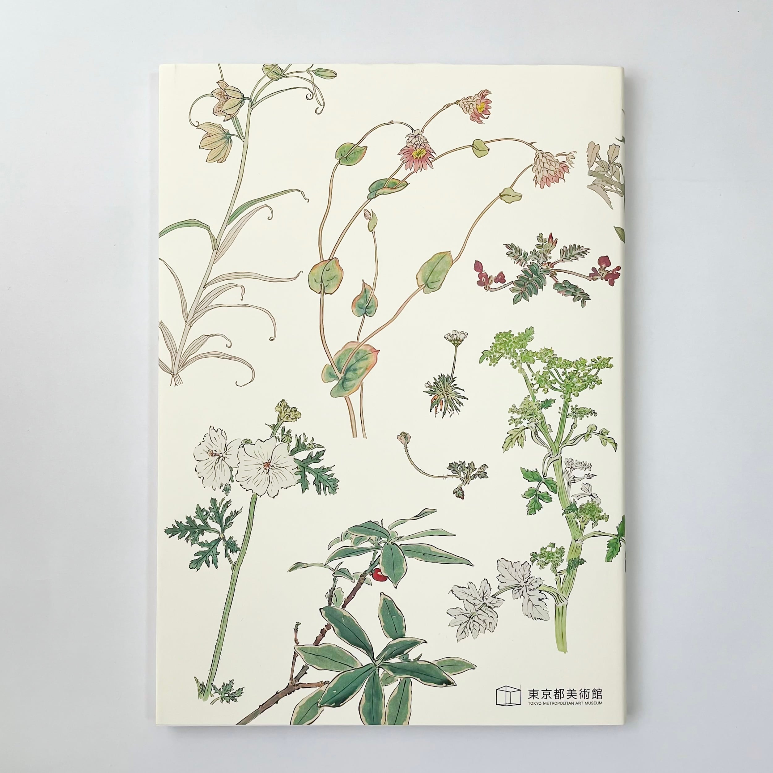 いのちをうつす 菌類、植物、動物、人間」展覧会図録 | hmm, by 東京都