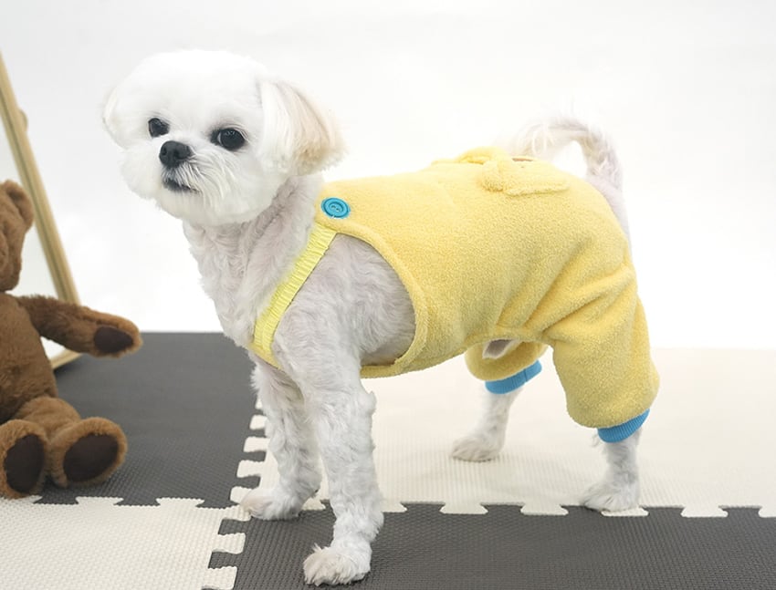 sleepy bear all in one set S ~ XL 2color / 犬服 秋冬 新作 もこもこ フリース オールインワン 帽子 セット 可愛い 犬の服 暖かい ドッグウェア ペット ワンコ服 小型犬 中型犬 猫 ロンパース tsu44