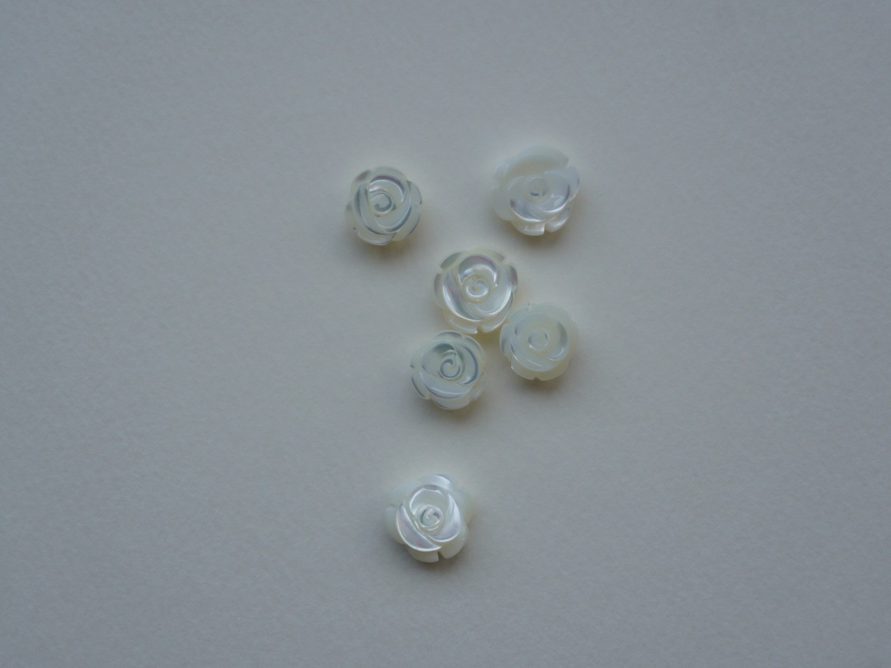 【 WAVE 】shell ROSE pierce (medium)