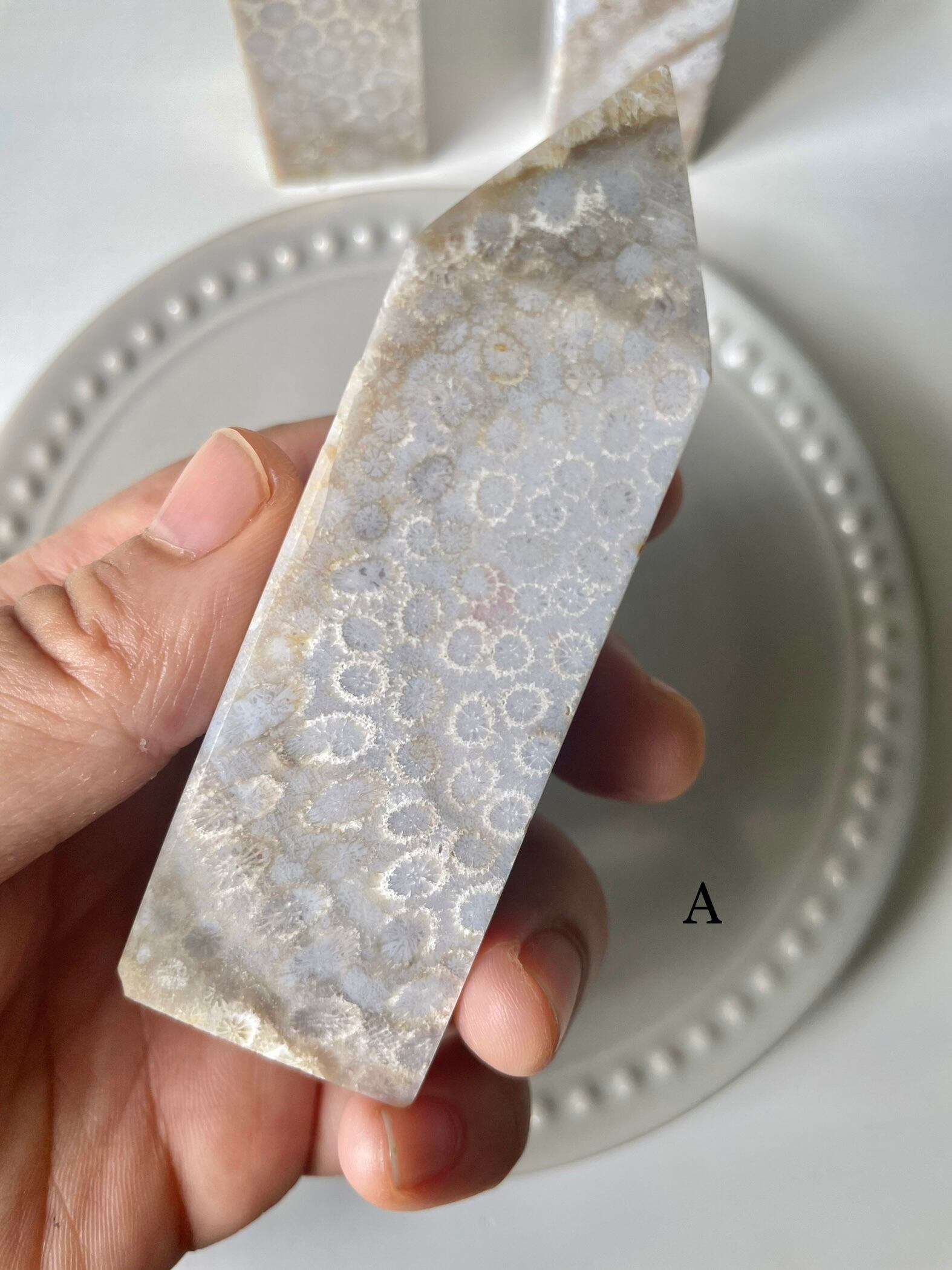 Fossil Coral Tower / フォッシルコーラル　タワー