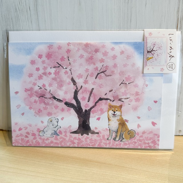 しばいぬと春グリーティングカード　桜