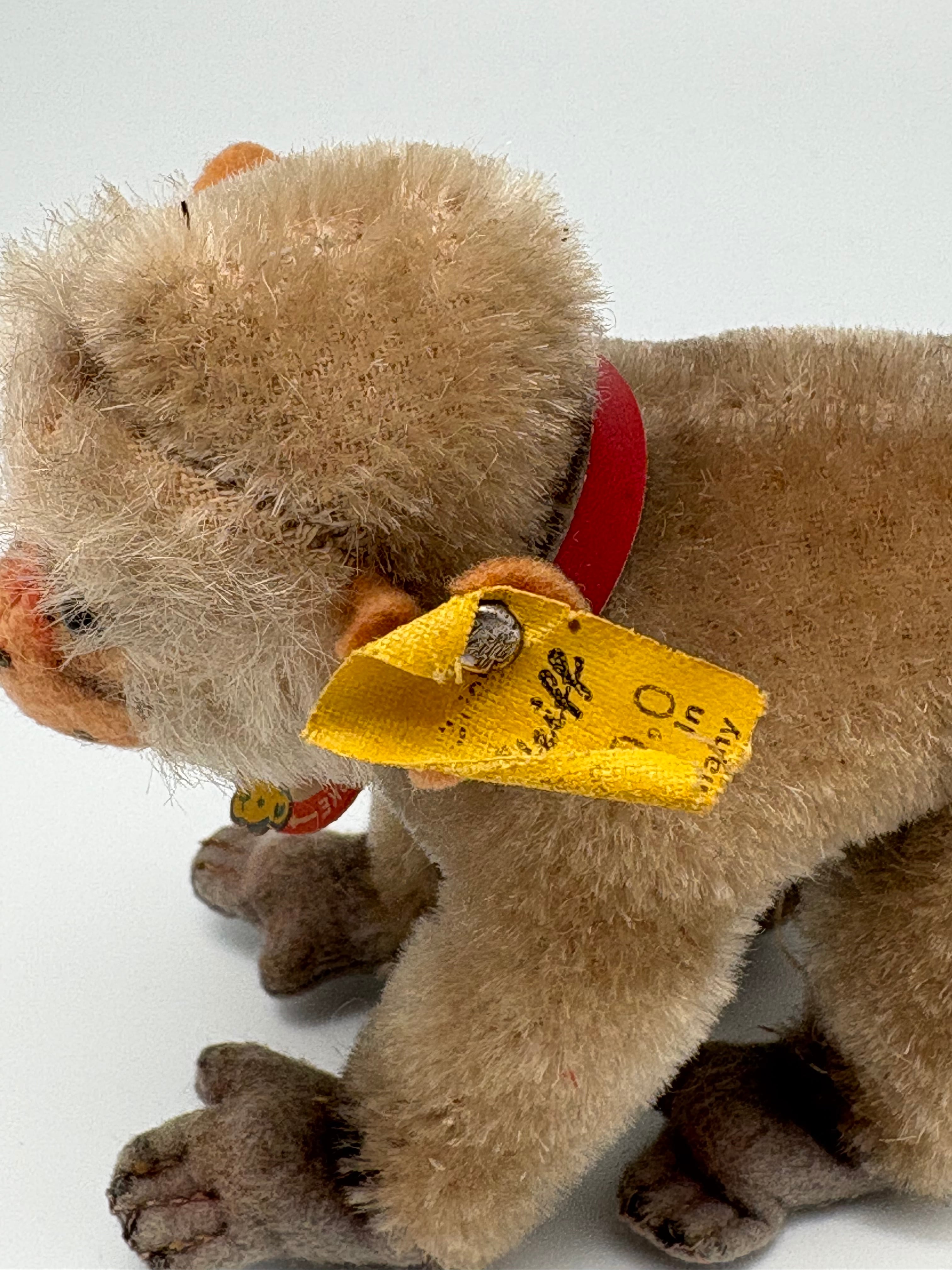 オールド シュタイフ ヒヒ Steiff Coco 10cm all ID | ヒガシマチ