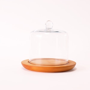 ケーキドーム 小