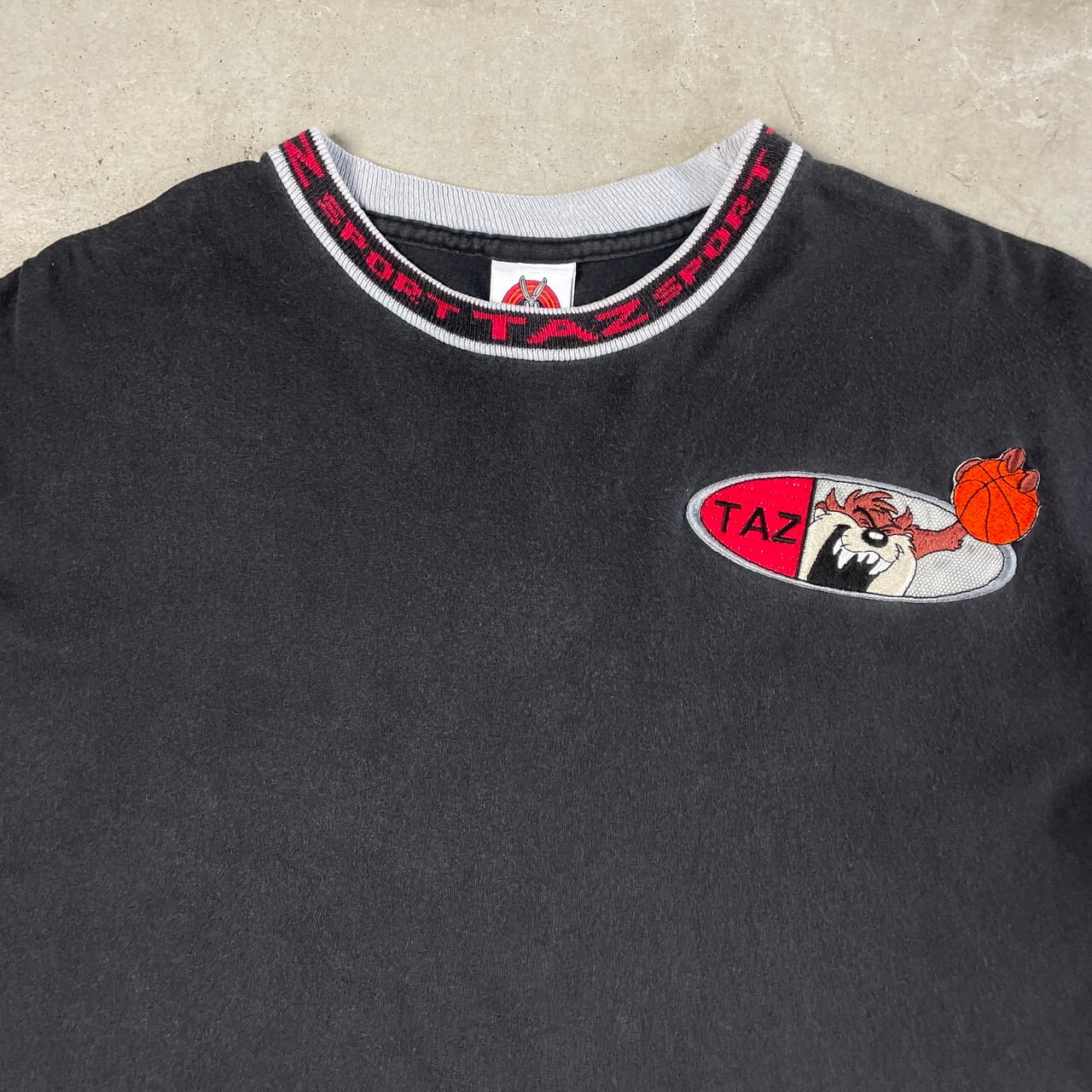 90年代 USA製 TAZ SPORT タズマニアンデビル キャラクター ワッペン