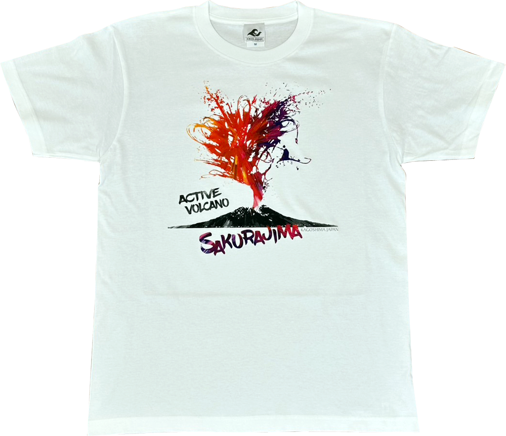 a51b0499e4e854e66541eac8102be2