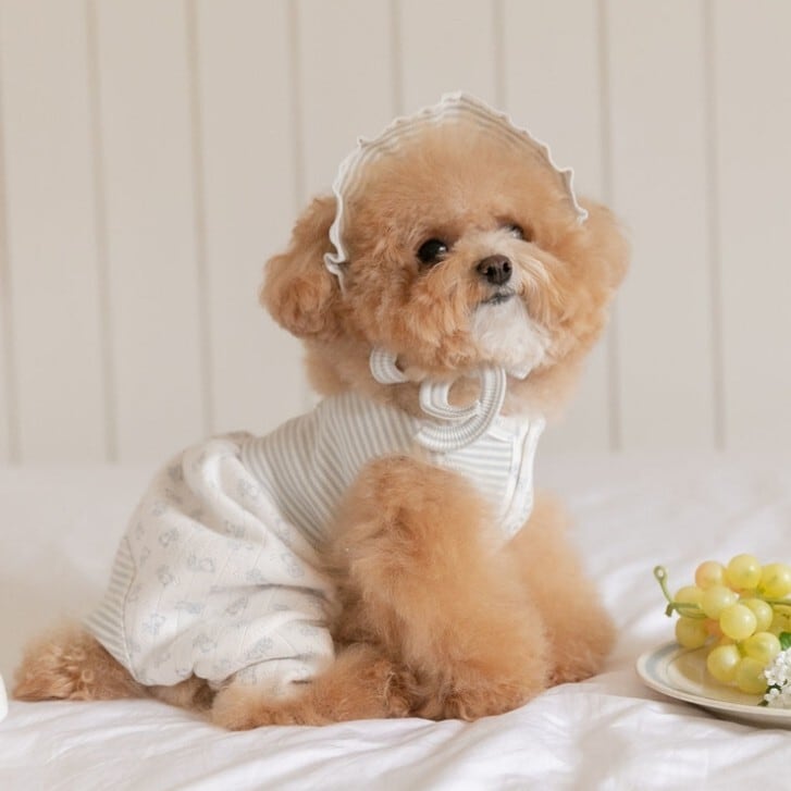 予約】［ romanmood ］corduroy meal coaster | LUANA DOG