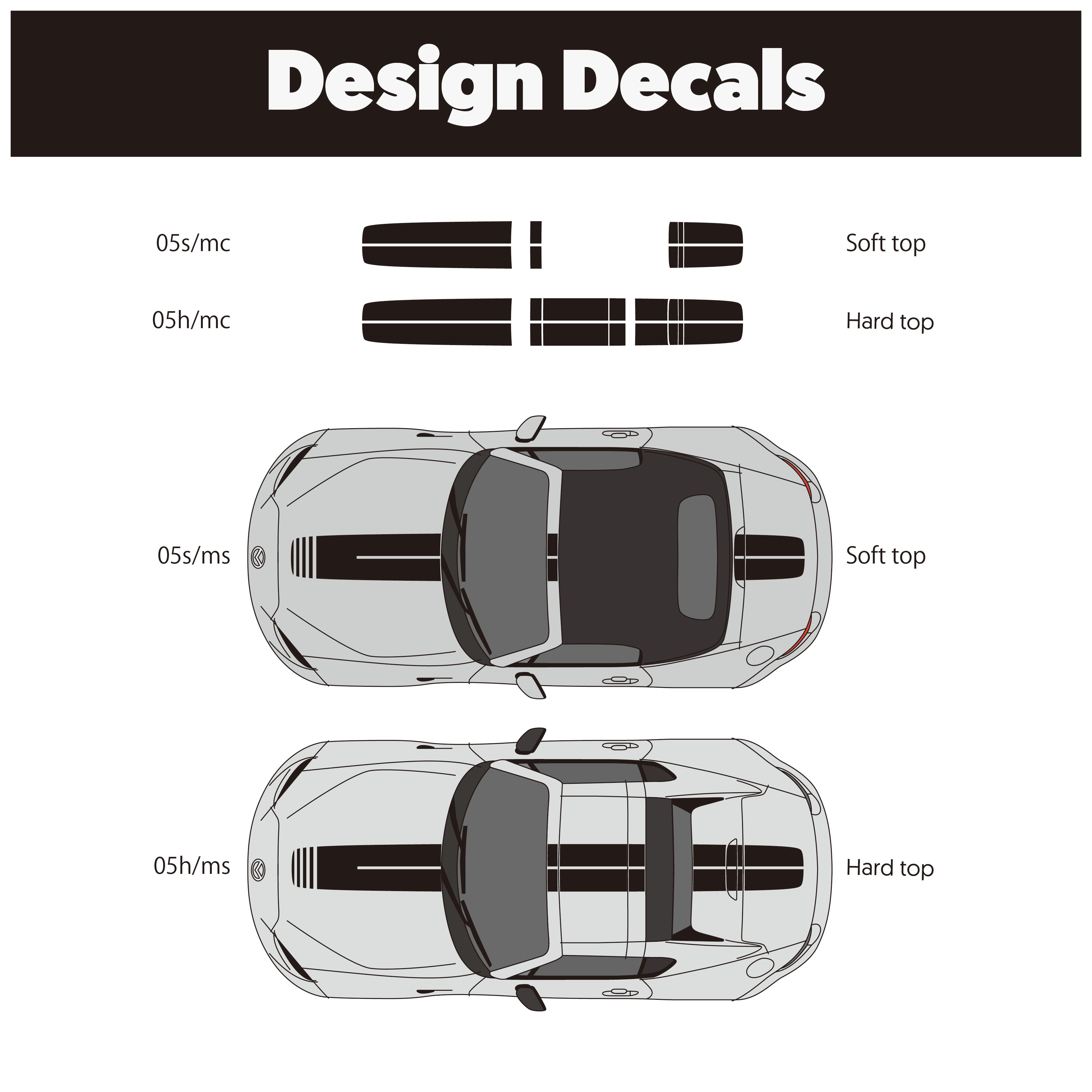 DD / Rear License | magic carpet design