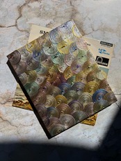 片割れの光‘ (No.0227)