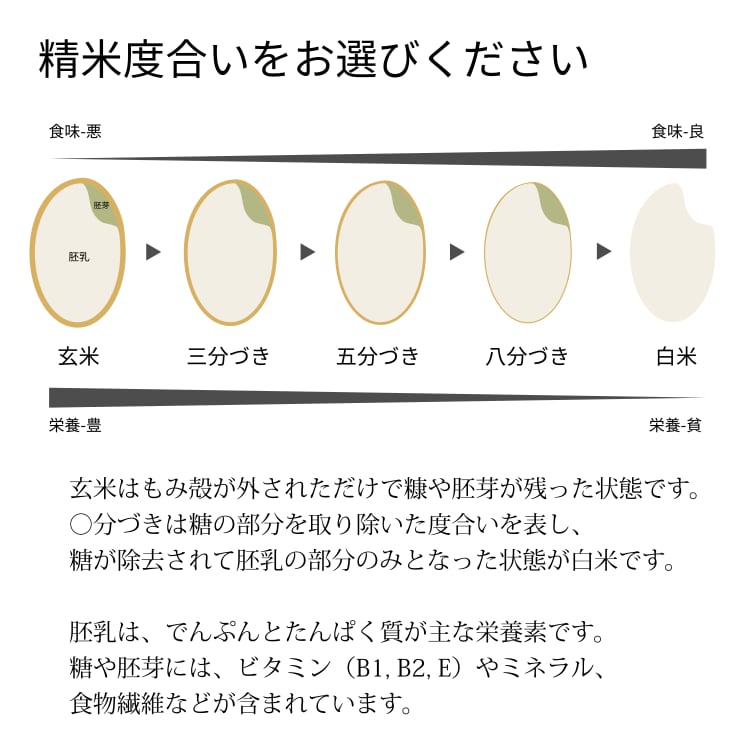岐阜県産 ハツシモ 農薬不使用 玄米 10kg 美濃加茂市 - 米