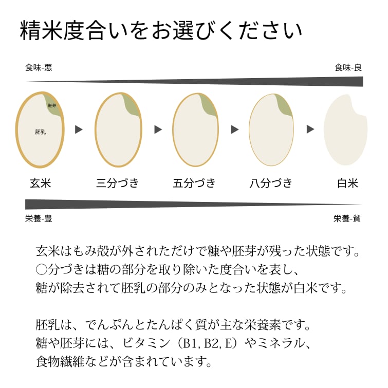 令和５年度新米】農薬不使用　ハツシモ　5kg　玄米・精米　岐阜県美濃加茂市産　716potager