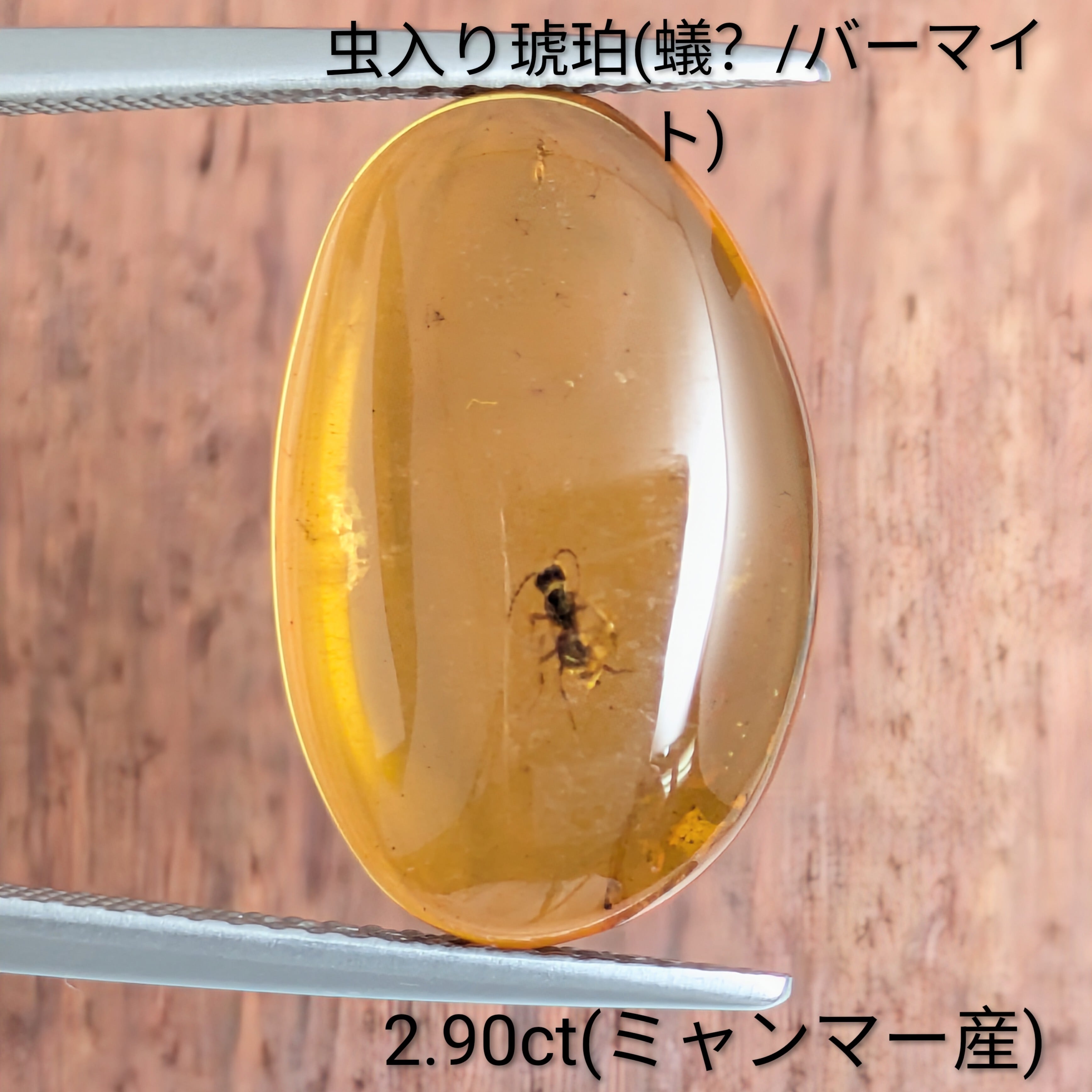 【希少】虫入り ミャンマー産 琥珀 リング バーマイト 白亜紀 天然アンバー 虫入り琥珀(蟻？/バーマイト）ルース ミャンマー産【2.90ct】PRO209291