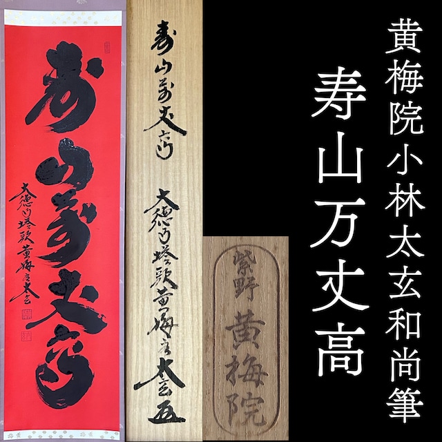 茶道具　掛軸　大徳寺515世　三玄院　藤井誡堂　共箱　太平一曲起　一行書　禅僧書