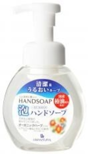 泡ハンドソープ・ポンプ式 ２５０ｍｌ　Ｌ．Ｎ