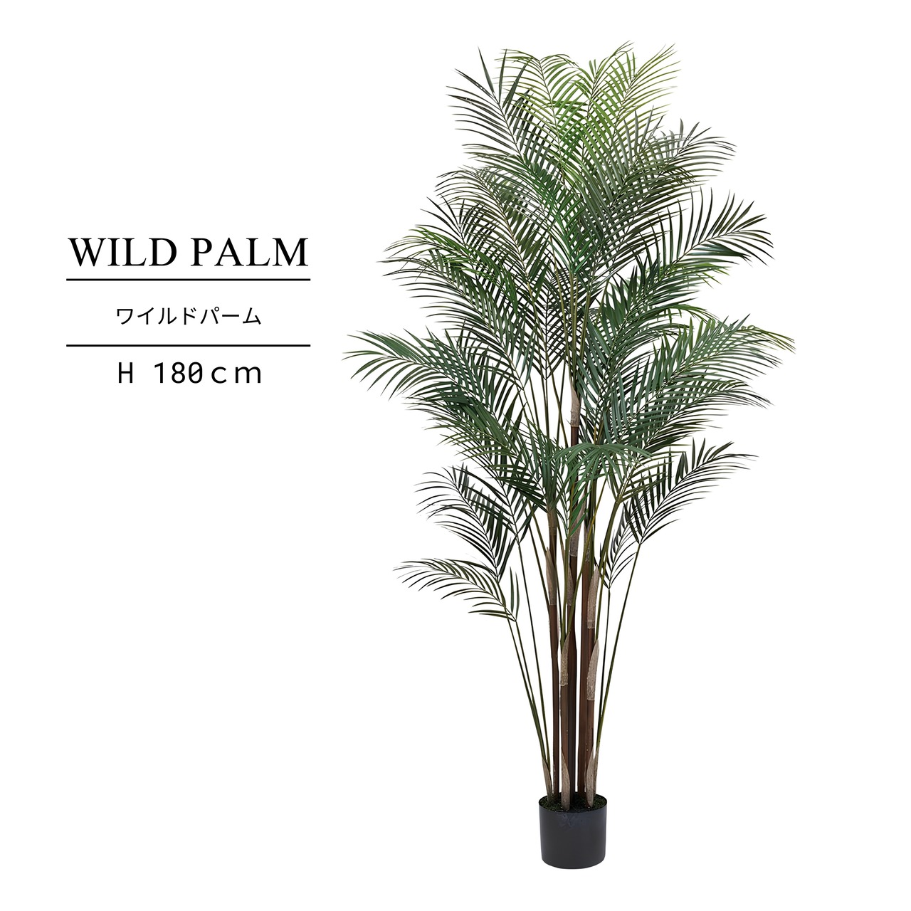 ワイルドパーム180㎝［人工観葉植物・フェイクグリーンT］
