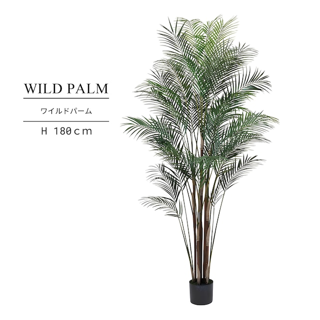 ワイルドパーム180㎝［人工観葉植物・フェイクグリーンT］