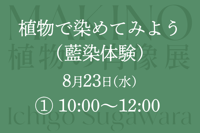 ①「MAKINO 植物の肖像」展　関連イベント「植物で染めてみよう（藍染体験）」【午前の部】