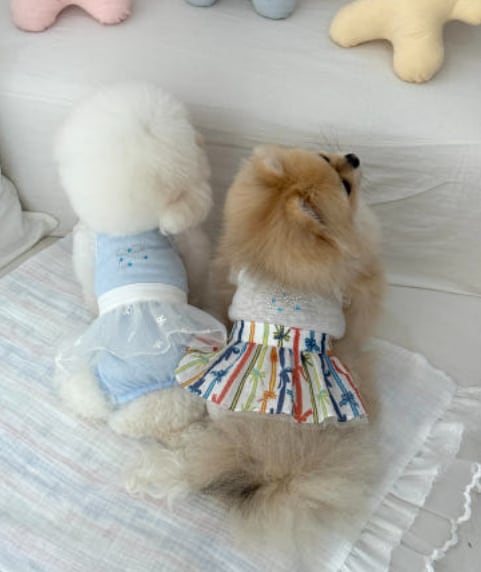 S/即納【lebooleboo】Summer Dreaming Skirt (2Color)