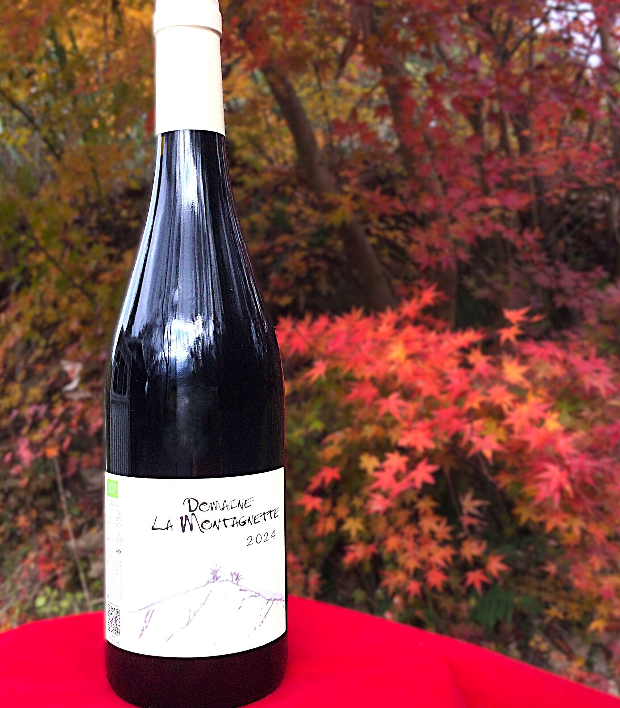 条件あり】2021年[赤] コート デュ ローヌ レゼルヴ ルージュ