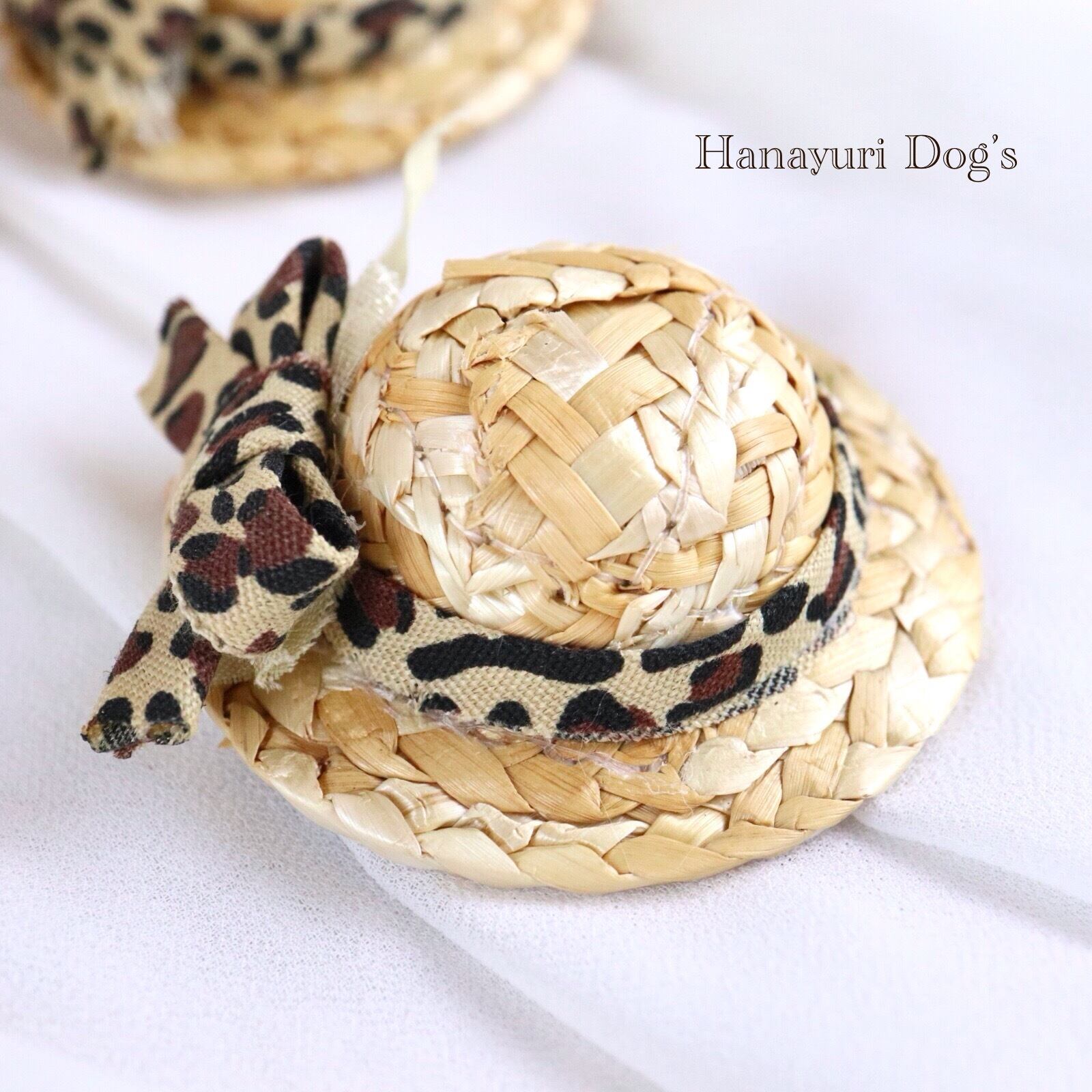 a53dc60b9587bbcae0431fda3d05f1