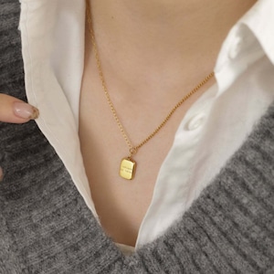 316L petti plate necklace  #n67