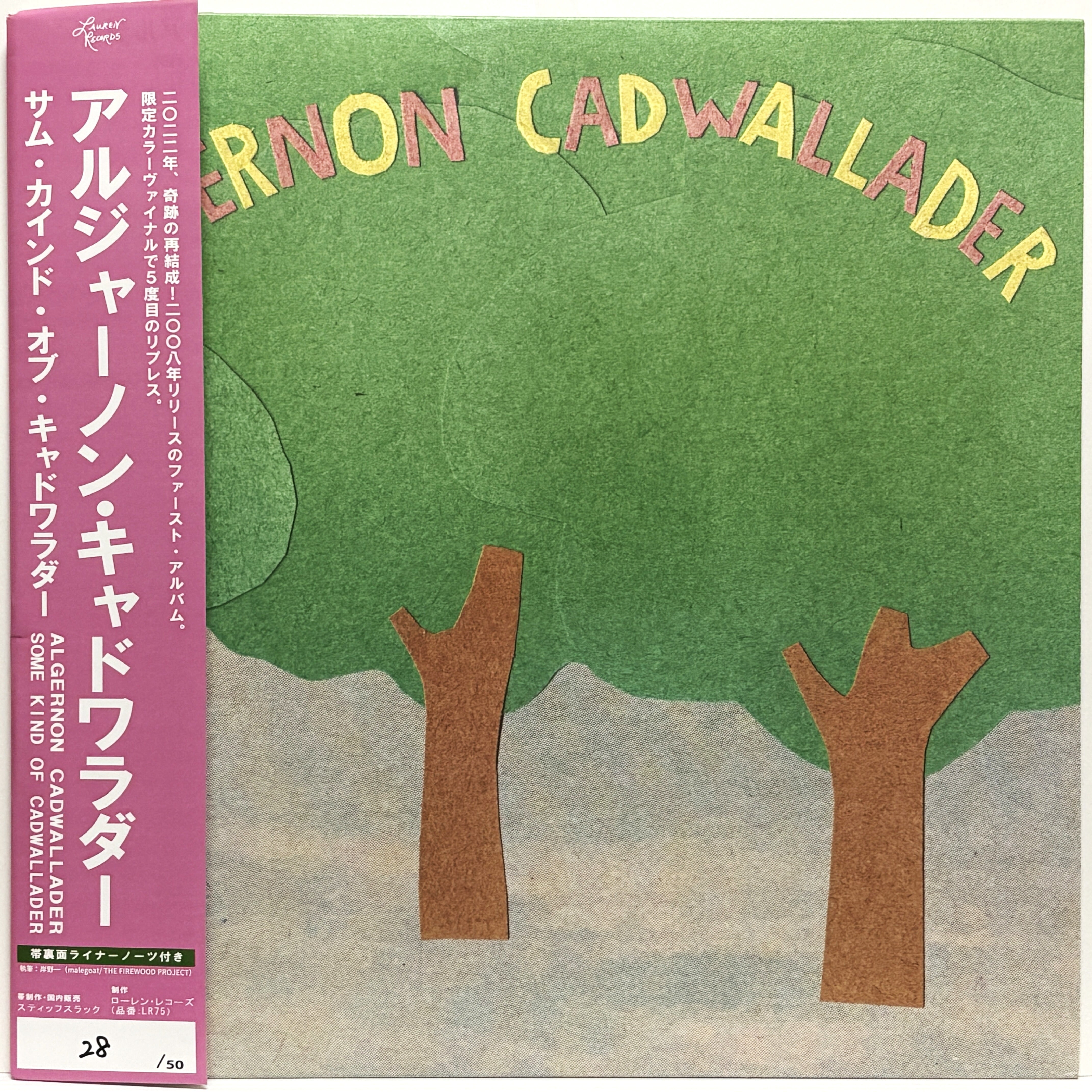 レア アングラBIGSHAWNDON CONTACT CD Algernon Cadwallader / Some Kind Of Cadwallader (LP Repress Pink
